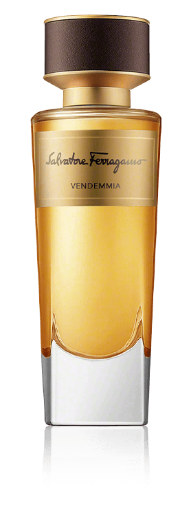 Vendemmia
