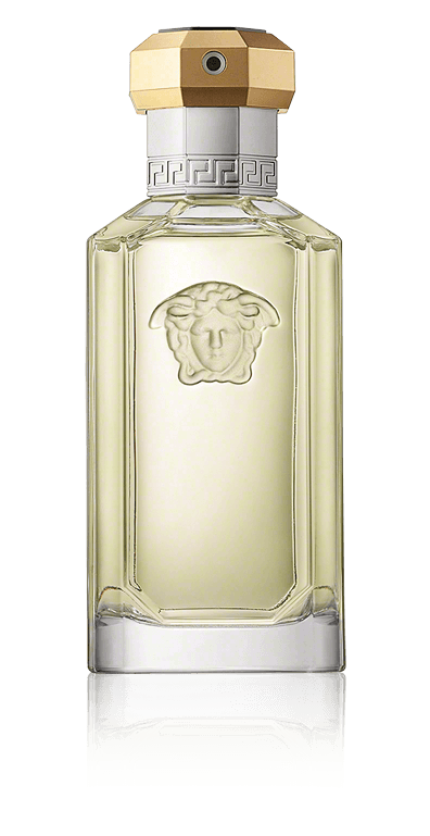 Versace The Dreamer Eau de Toilette Spray (100 ml)