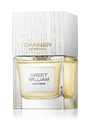 Sweet William