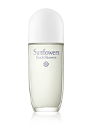 Sunflowers Sunlit Showers