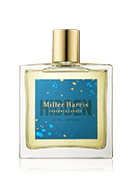 Hidden On The Rooftops