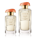 Aerin Hibiscus Palm
