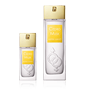 Alyssa Ashley Cedro Musk