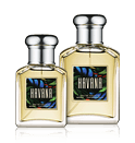 Aramis Havana