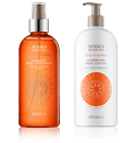 Artdeco New Energy Ginger & Goji Berry