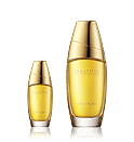 Estée Lauder Beautiful