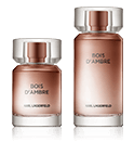 Lagerfeld Bois d'Ambre