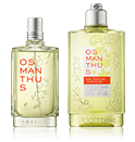 L'Occitane Osmanthus