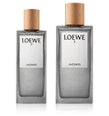 Loewe 7 Anónimo