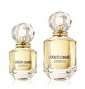 Roberto Cavalli Paradiso