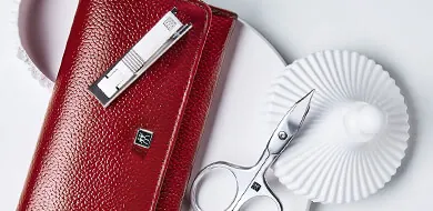 Zwilling