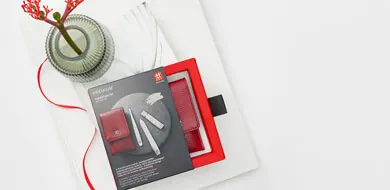 Zwilling