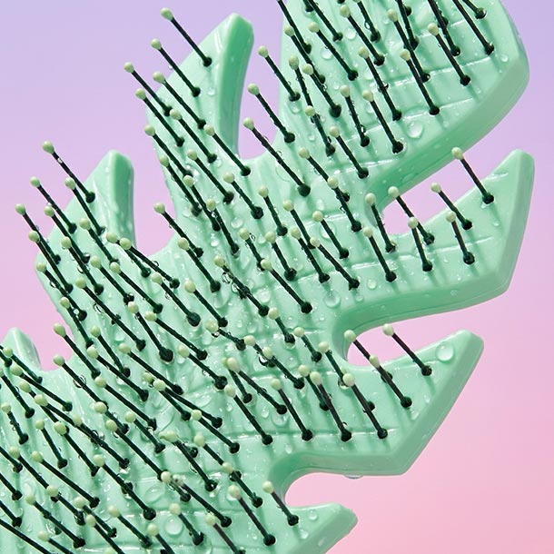 Wet Brush