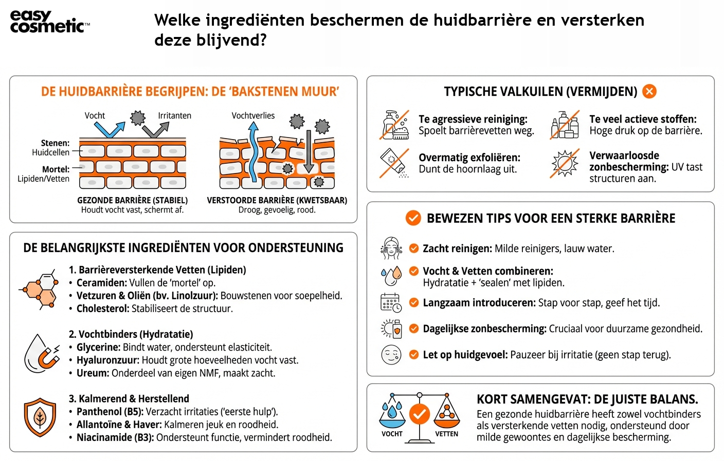 Welke ingrediënten beschermen de huidbarrière en versterken deze blijvend?