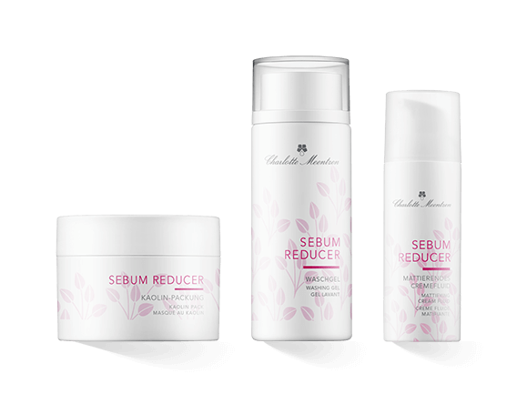 Charlotte Meentzen Sebum Reducer